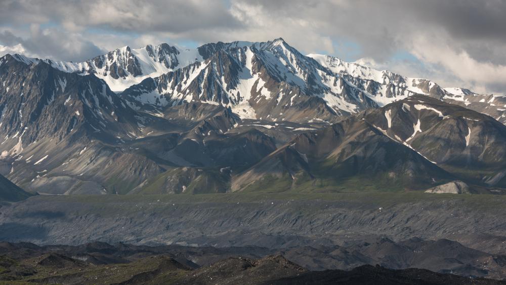 Denali National Park Alaska