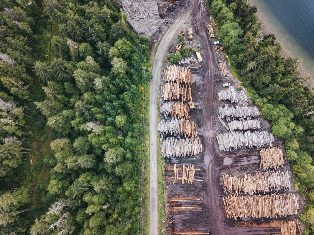 Aerial view of stacked logs with intact forest on the left side of the frame