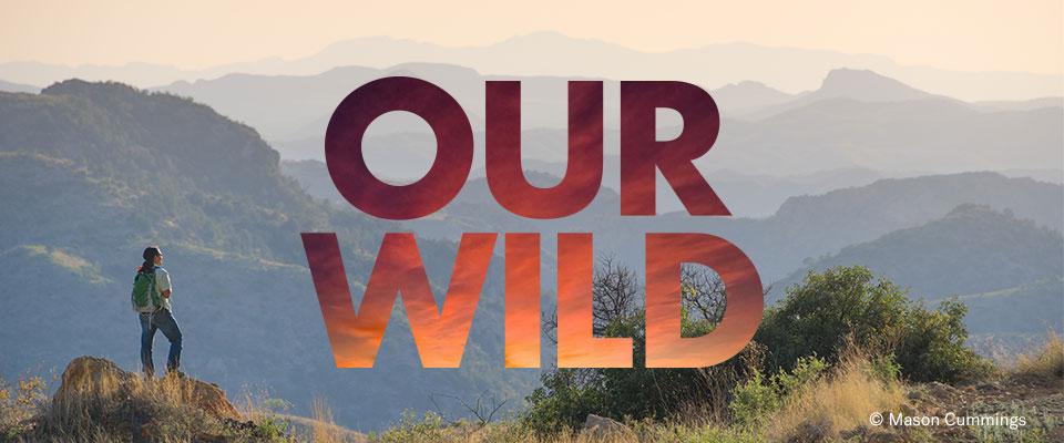 Defend Our Wild in Arizona Graphic