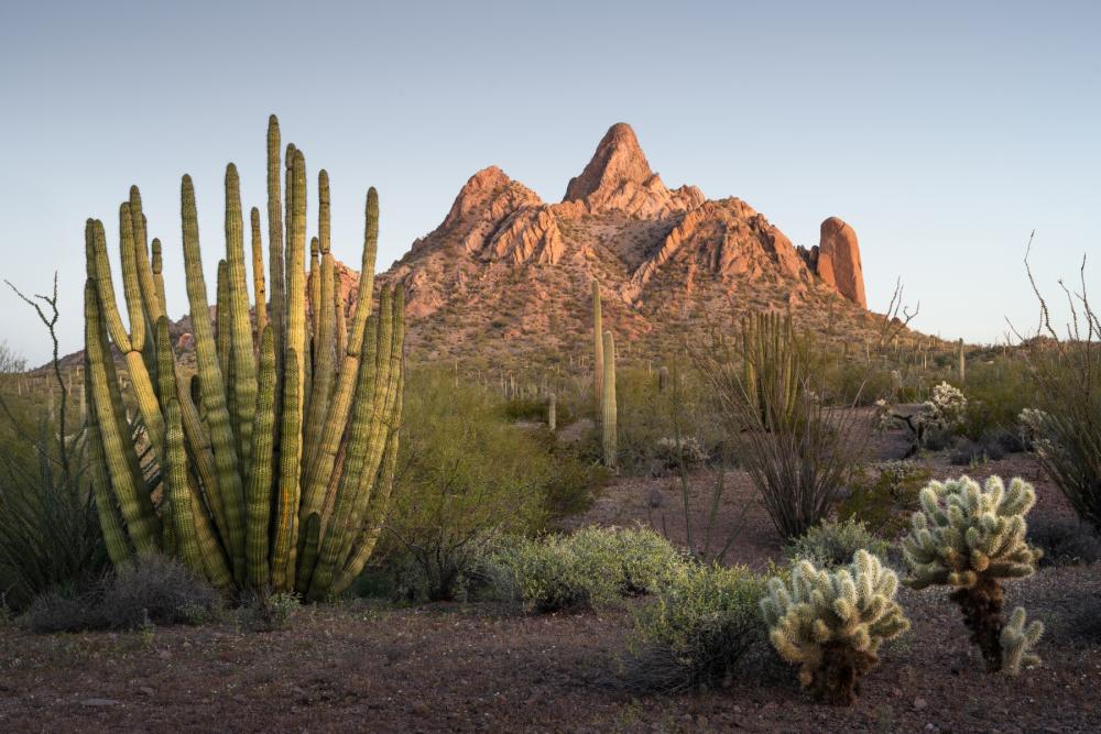 Cuerda de Lena ACEC, AZ