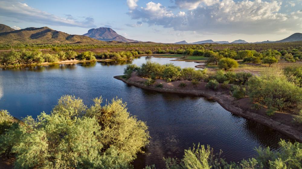 A pond in the desert surrounded by green foliage with mountains in the background.