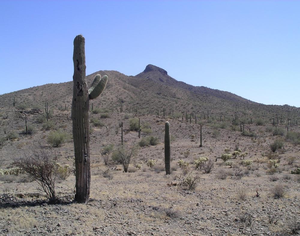 Table Top Wilderness, Arizona Table Top Wilderness, Arizona