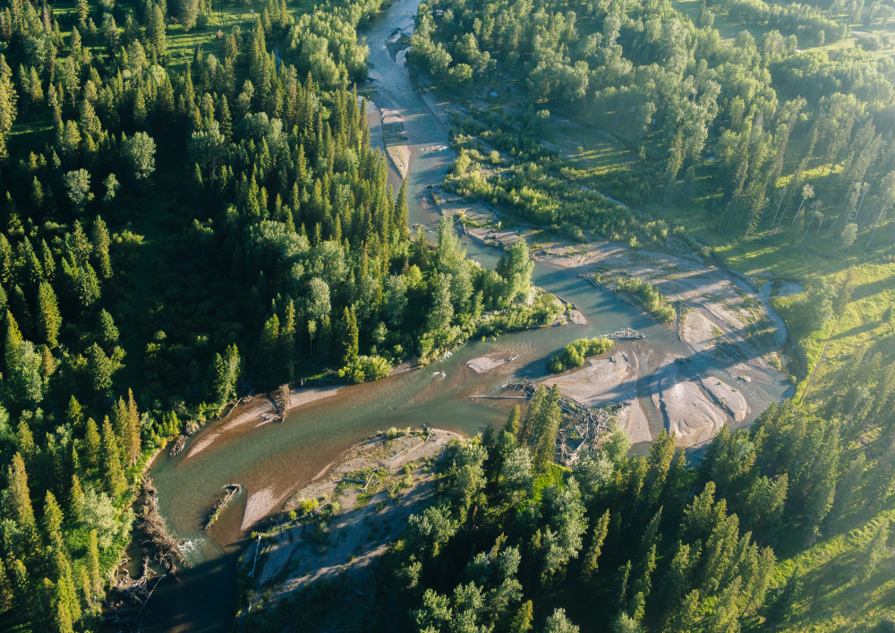Photo of Blackfoot River watershed near Lincoln, Montana, which is the focus area of the Lincoln Prosperity Proposal