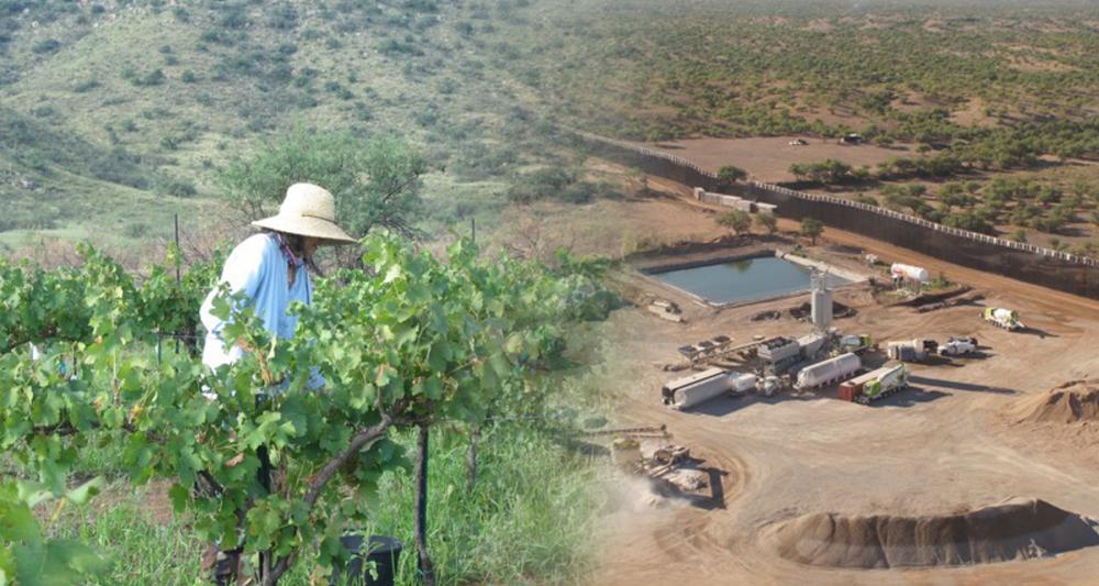 Left: Woman wearing white clothing and brimmed hat, standing in field among green grape vines. Right: Aerial view of construction site near the border wall, showing water-holding tank