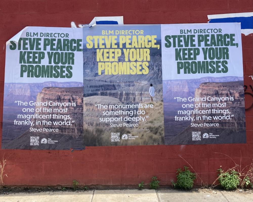 Wheatpaste posters in Washington, D.C. hold Steve Pearce accountable for his statements in confirmation hearing testimony.