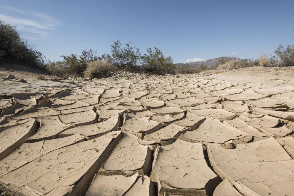 Dry, cracked earth in immediate foreground with desert plants and blue sky visible in background