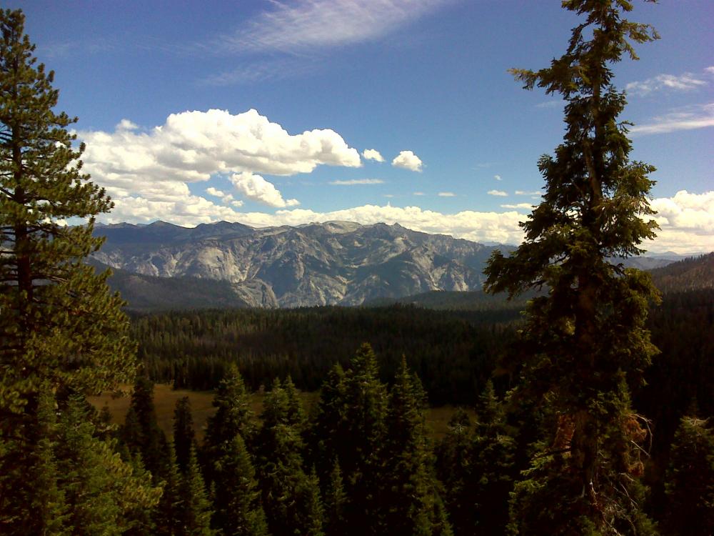 Mountains in background with lush evergreen forest in mid- and foreground, under blue and cloudy skies