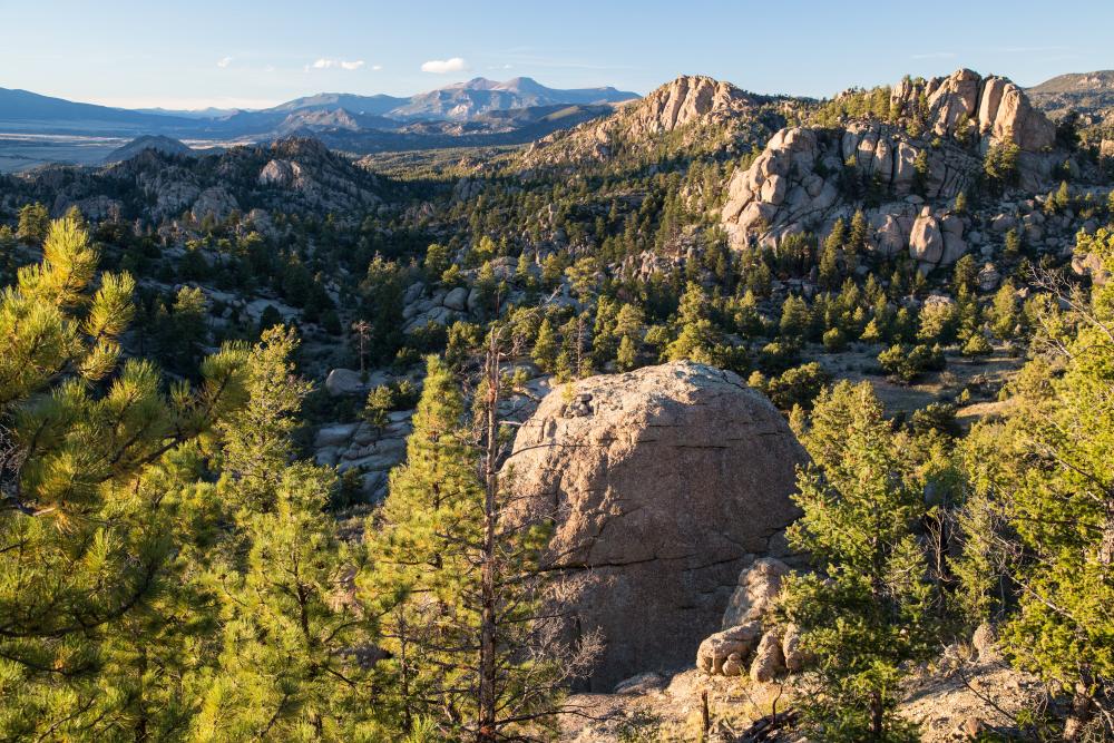 Trees and rock formations in Browns Canyon, Colorado