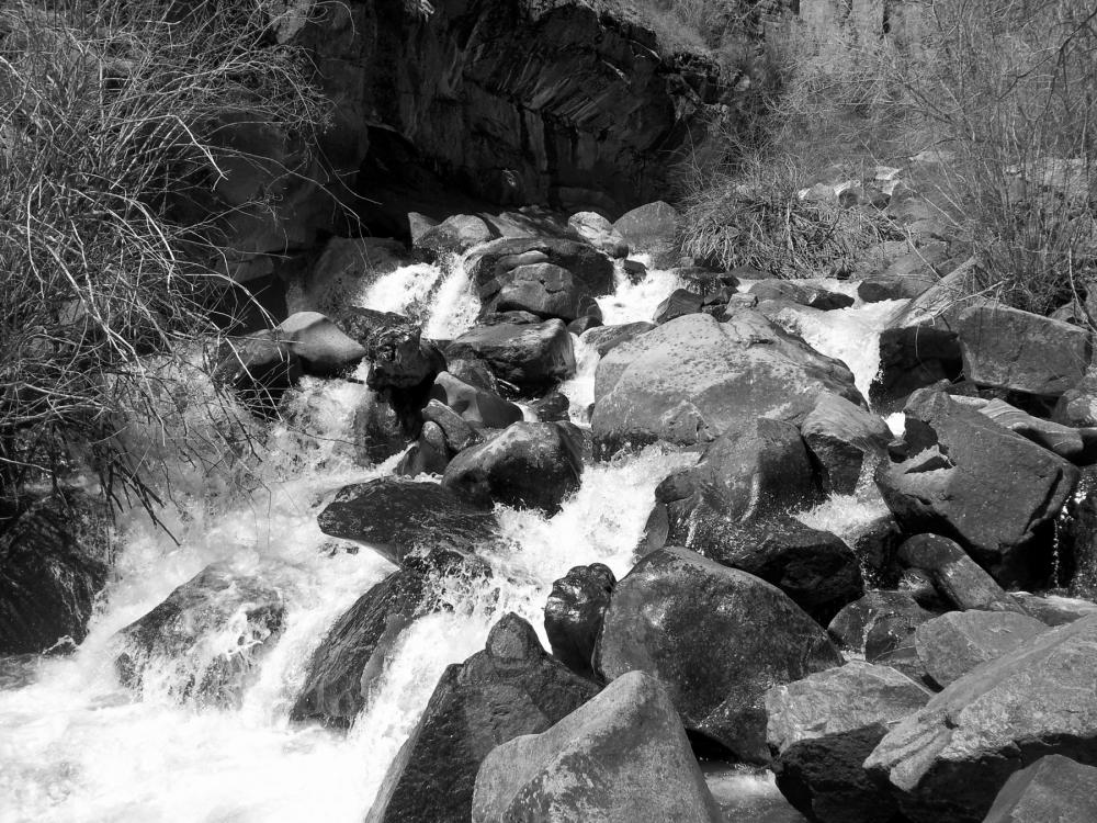 Creek splashing over rocks with plants surrounding