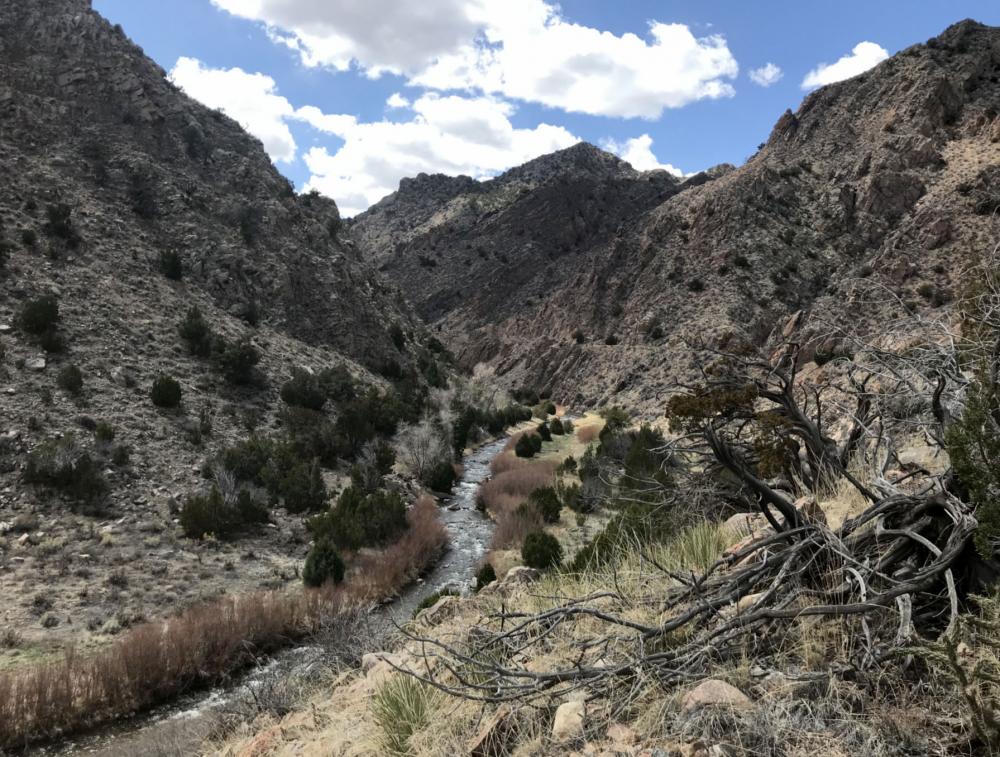 Rocky canyons at the Grape Creek Area of Critical Environmental Concern (ACEC) 
