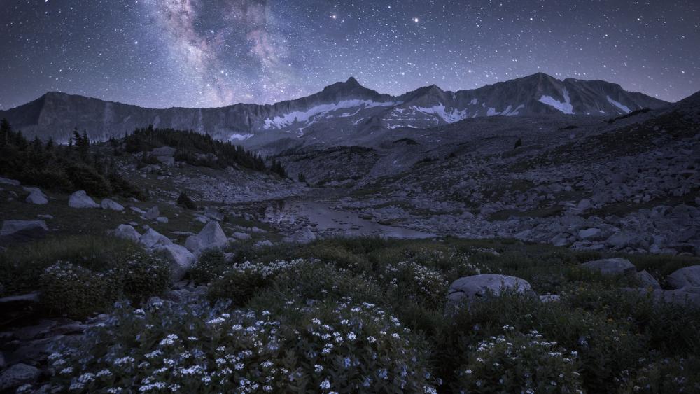 Maroon Bells-Snowmass Wilderness, Colorado.