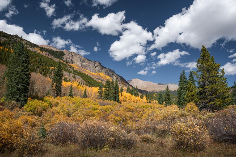 Autumn colors in Mount Evans Wilderness, CO.