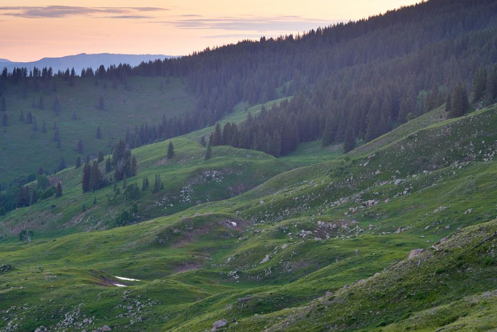 Grassy slopes in the Thompson Divide, Colorado