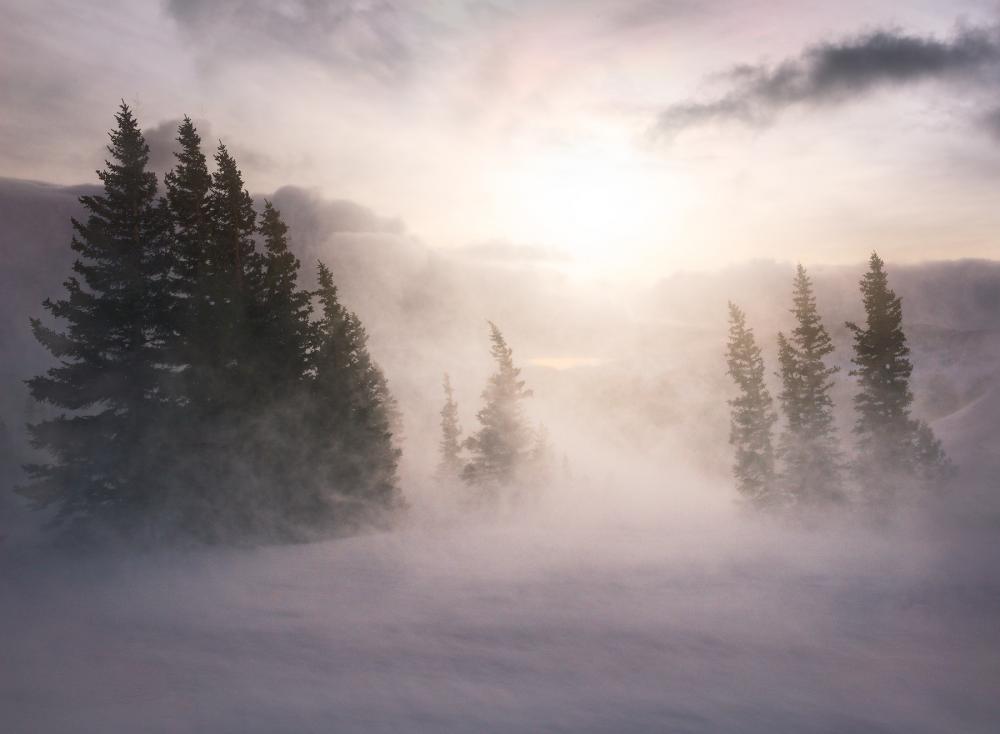 Blowing snow in White River National Forest, Colorado.