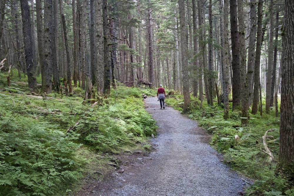 Chugach National Forest, AK