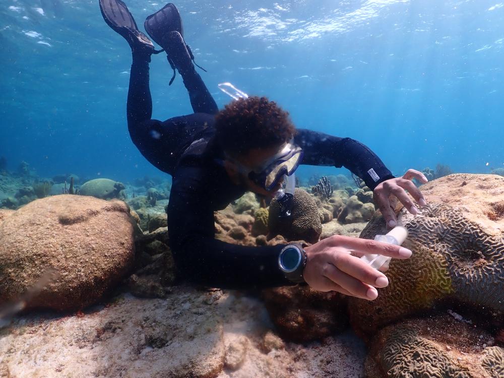 man snorkeling underwater with colorful corals surrounding him