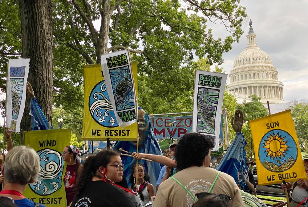 Protesters holding signs with trees and the capitol dome visible in the background