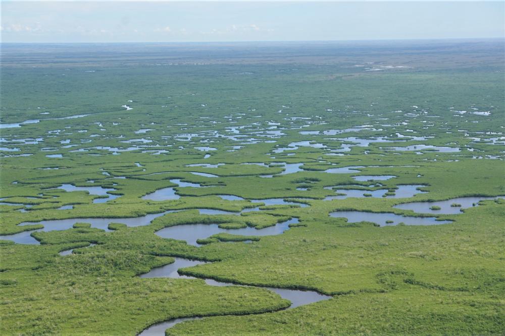 aerial view of rivers and marshes 