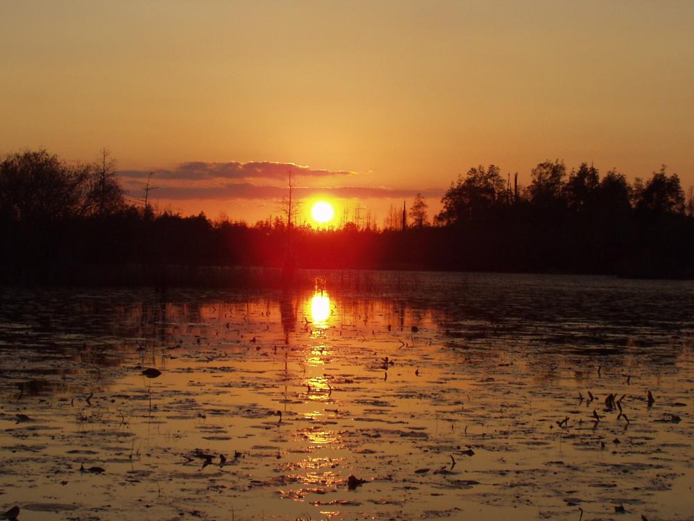 Sun setting over the water in a swamp in Okefenokee National Wildlife Refuge, Georgia