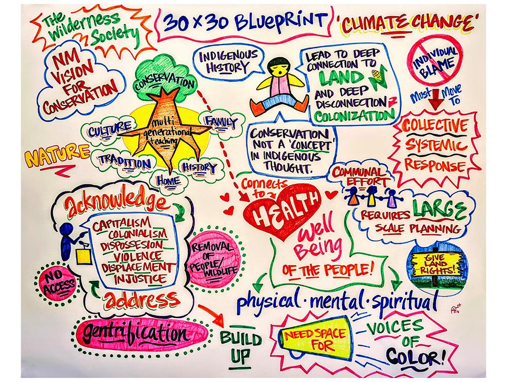 A visual representation of the process, vision and blueprint of the co-created 30x30 plan.