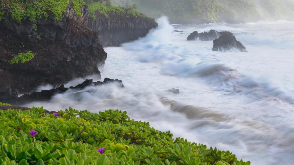 Haleakala National Park, Hawaii