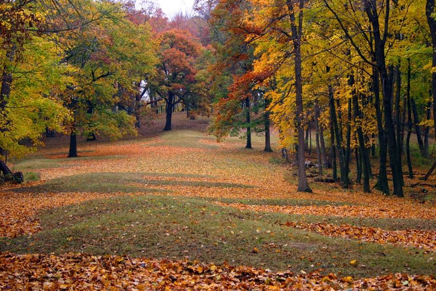 Autumn at Effigy Mounds National Monument, Iowa