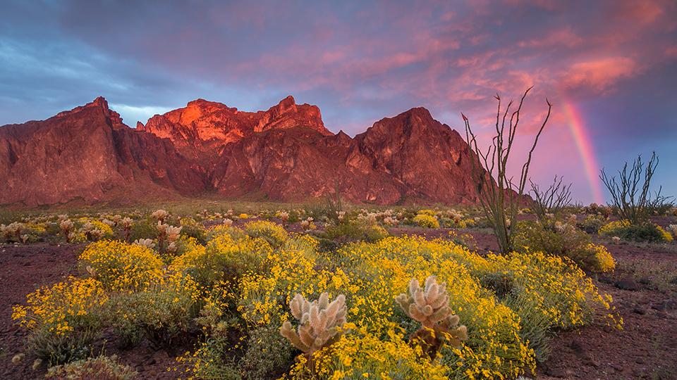 Kofa National Wildlife Refuge in Arizona