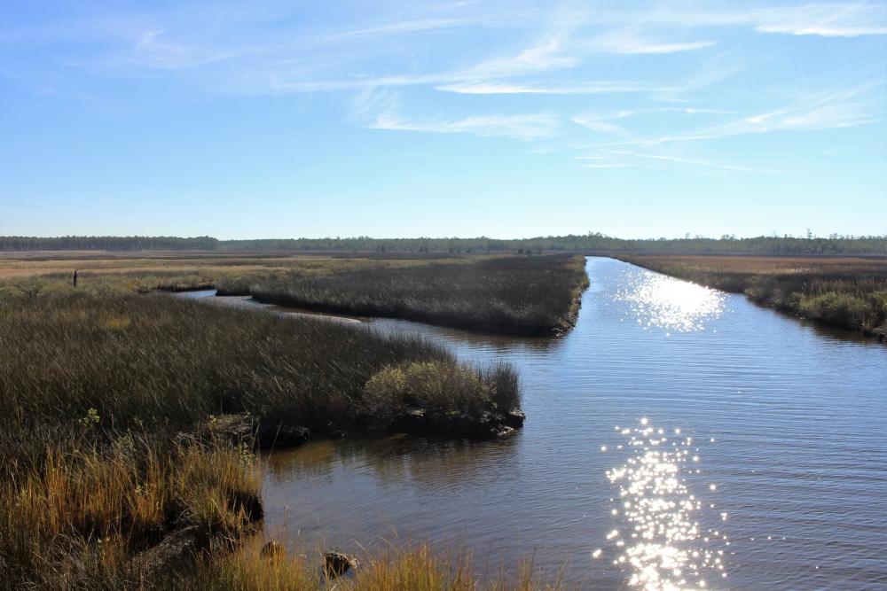 Marshland with sunlight reflecting off the water at Harriet Tubman Underground Railroad National Historical Park, Maryland