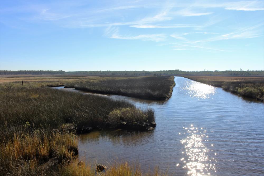 Marshland with sunlight reflecting off the water at Harriet Tubman Underground Railroad National Historical Park, Maryland