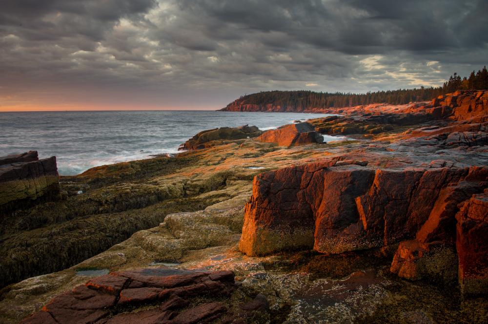 Acadia National Park, ME.