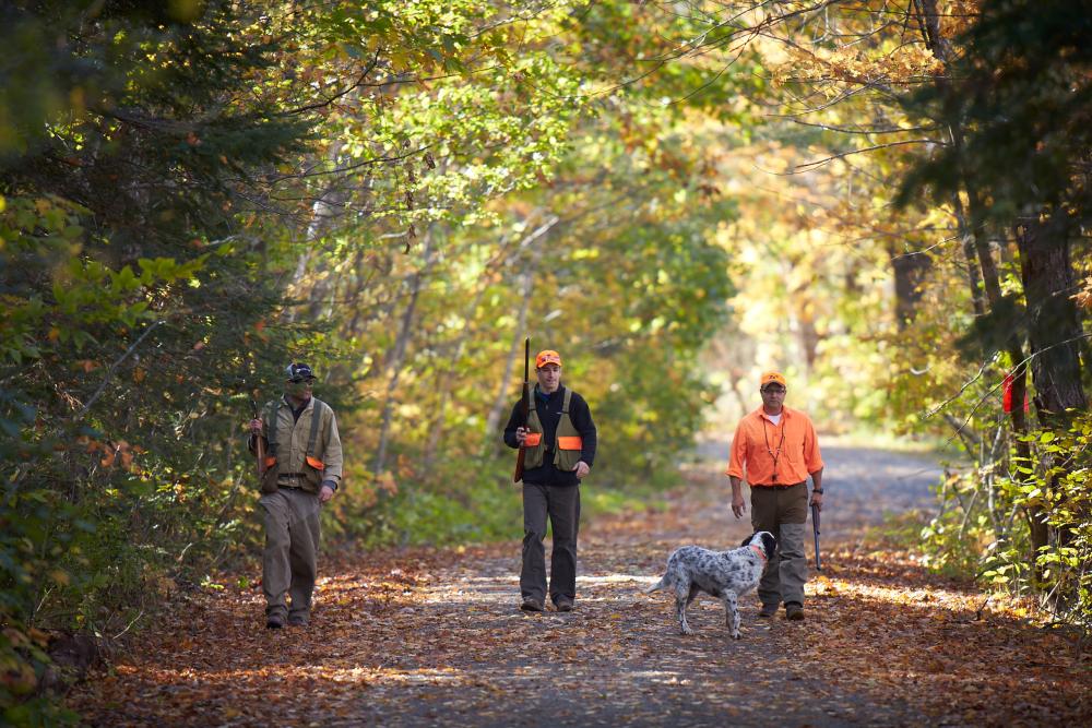 hunters walking through forest