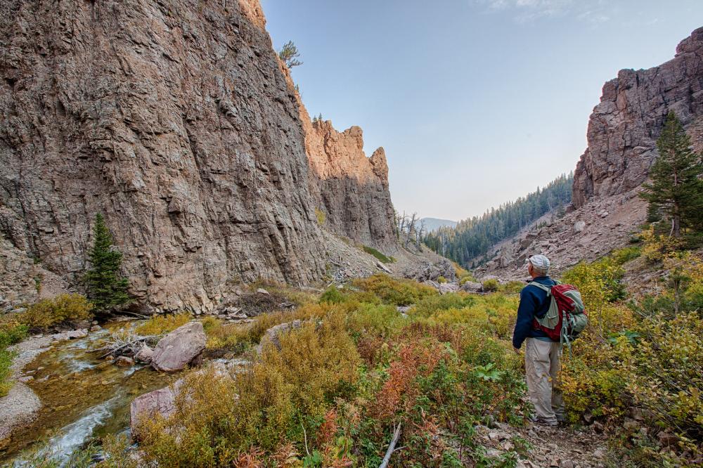 Centennial Mountains Wilderness Study Area, MT