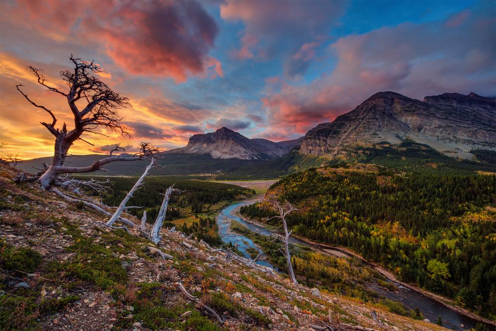 Glacier National Park, MT.