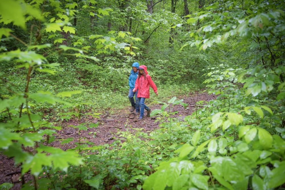 Hikers in the Craggy Mountains area