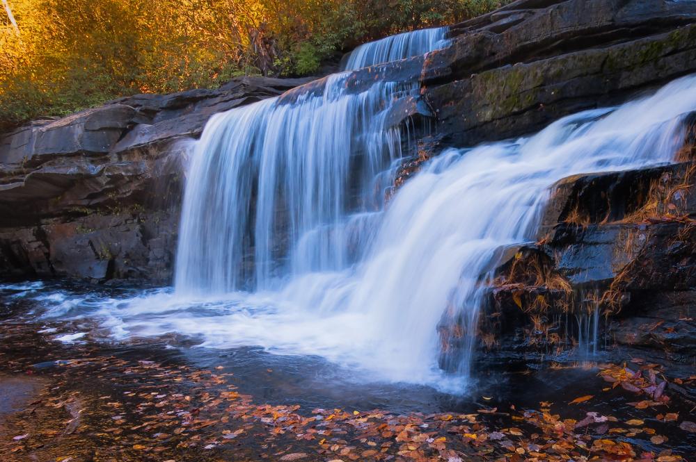 Waterfall cascades into water with fallen bright orange and yellow leaves floating on the surface