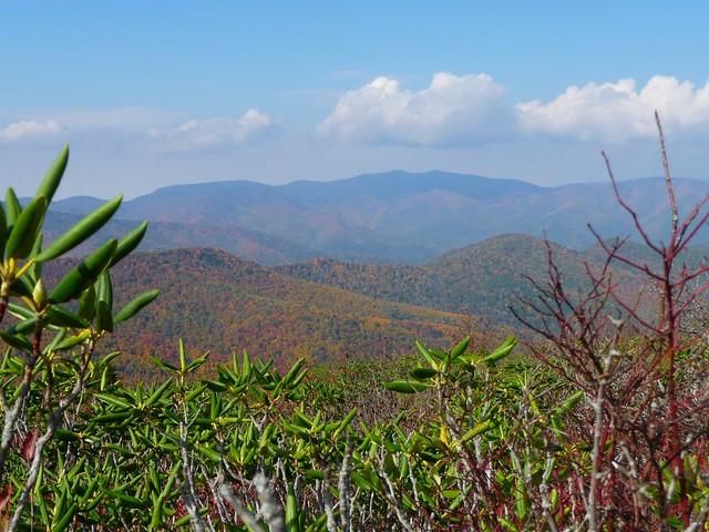 Along a walking trail en route to Shining Rock Wilderness.