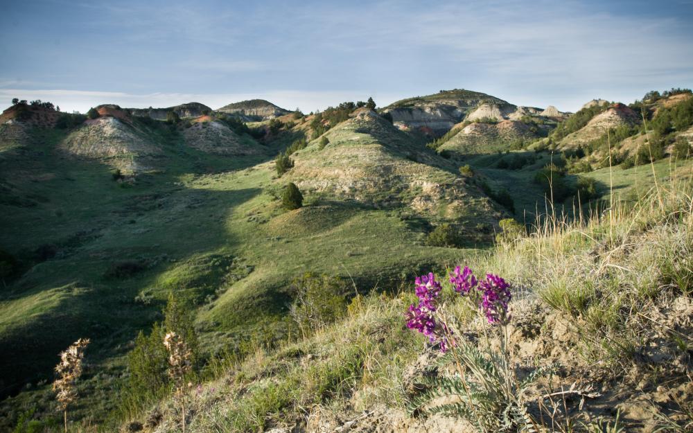 Mountains in Theodore Roosevelt National Park