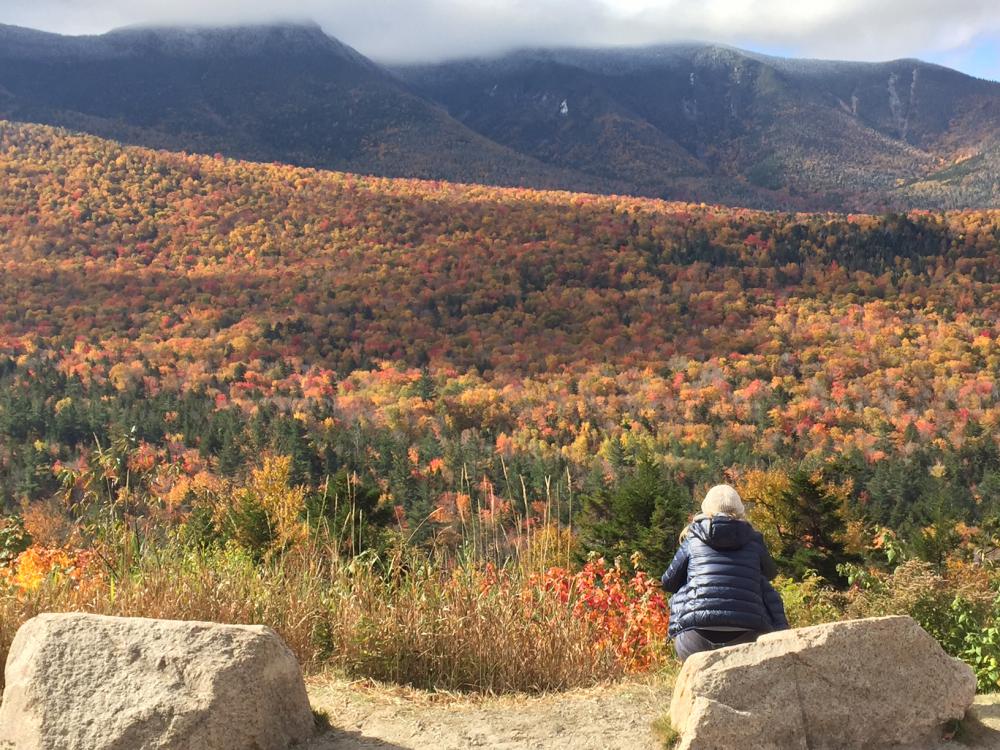 Huge expanse of trees with fall foliage. Person in foreground with back facing camera