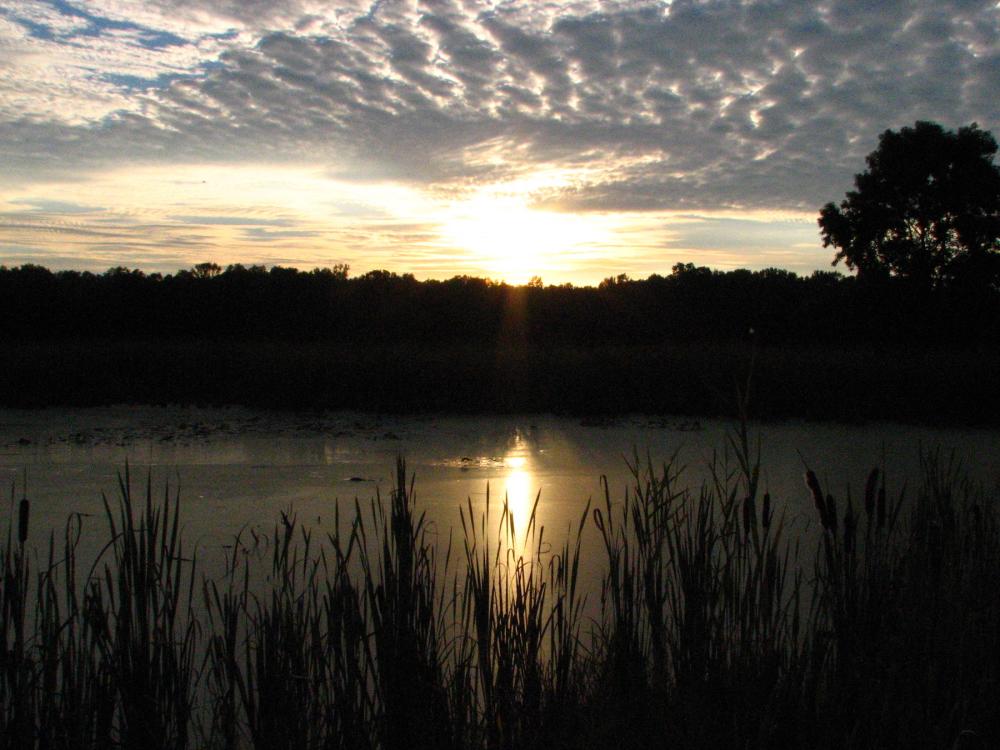 Sunset over the Great Swamp Wildlife Refuge, NJ