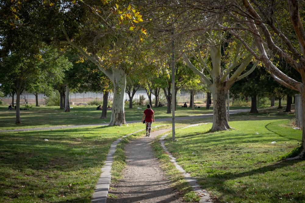 Person walking away from foreground along gravel path between trees in a verdant city park
