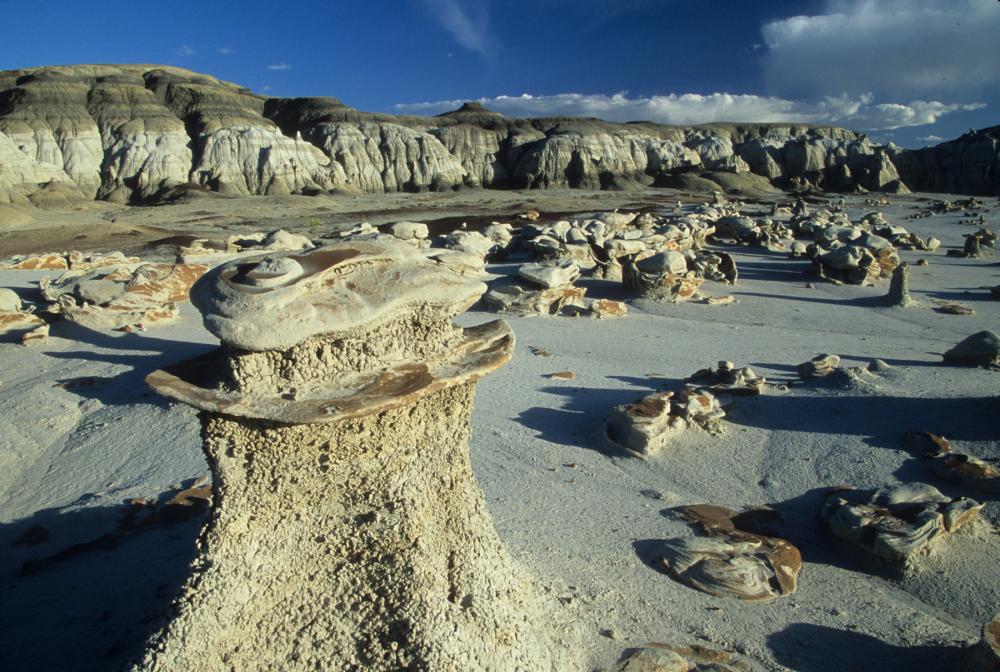 Hoodoos in Bisti/De-Na-Zin Wilderness, New Mexico