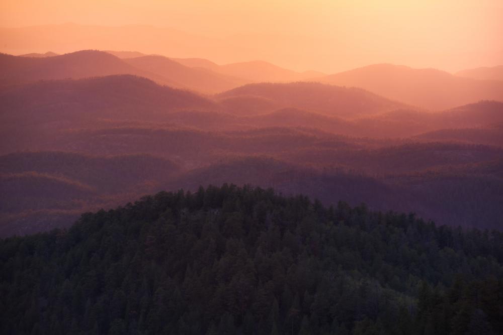 Cibola National Forest, NM