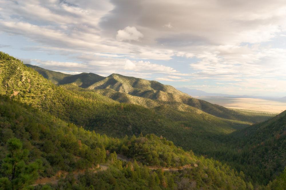 Mountainside draped in green forest under a blue and partly cloudy sky