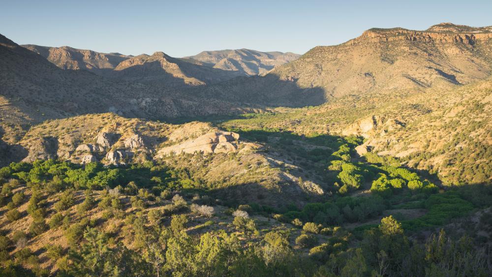 Gila National Forest, New Mexico.