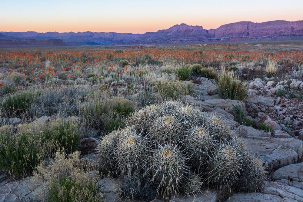 Marble Canyon, Arizona.