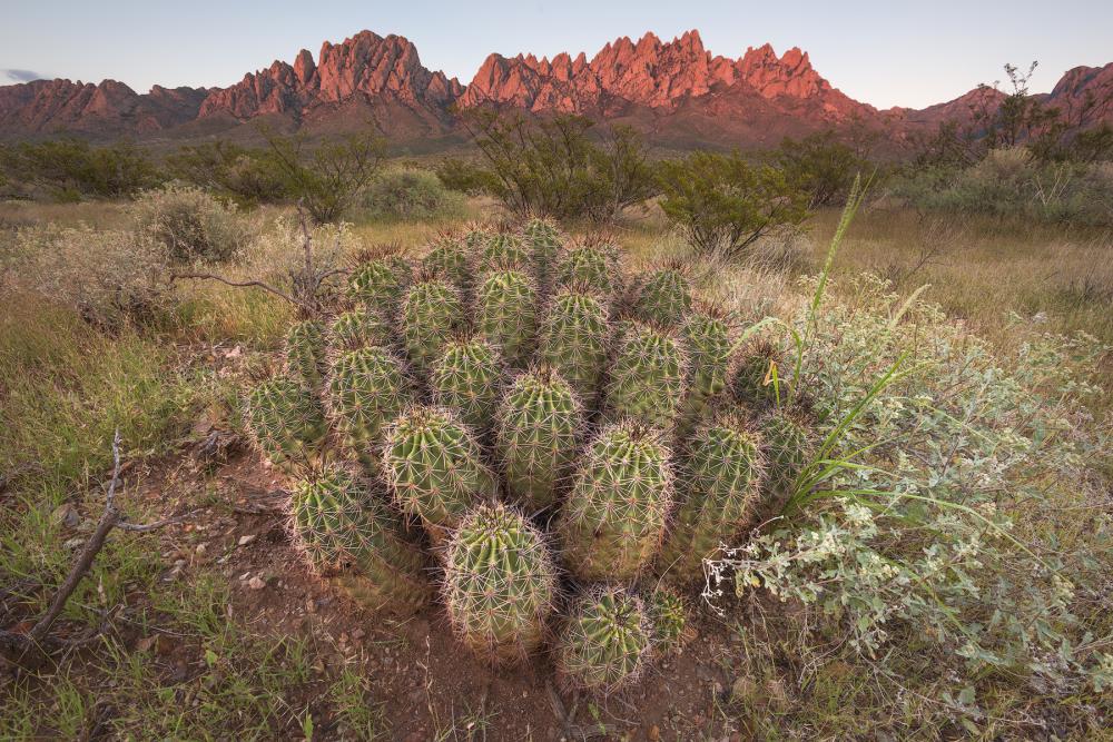 Organ Mountains National Monument, New Mexico