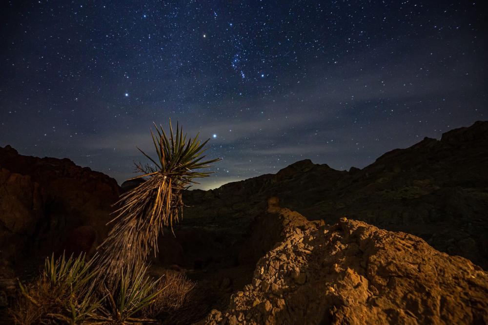 Starry sky above the Highland Range in the proposed Avi Kwa Ame National Monument, Nevada