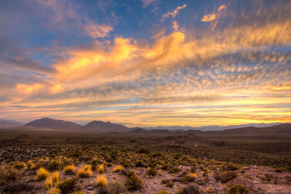 Basin and Range National Monument, Nevada.
