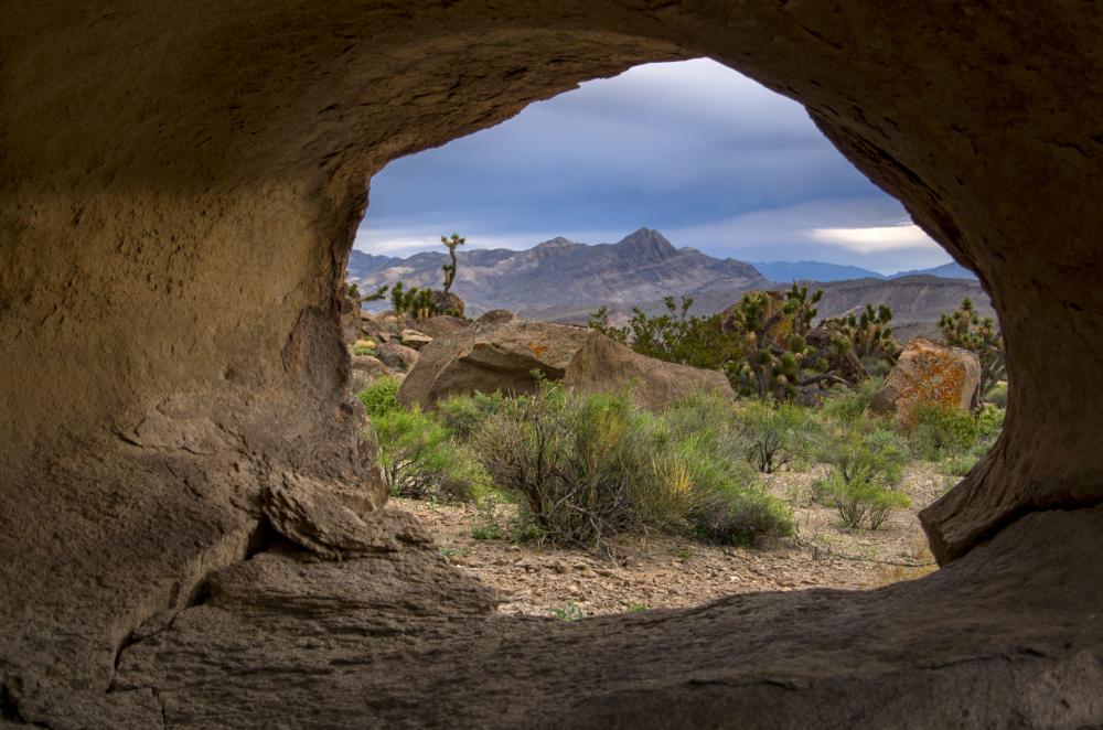 Nevada's Desert National Wildlife Refuge is the largest in the Lower 48