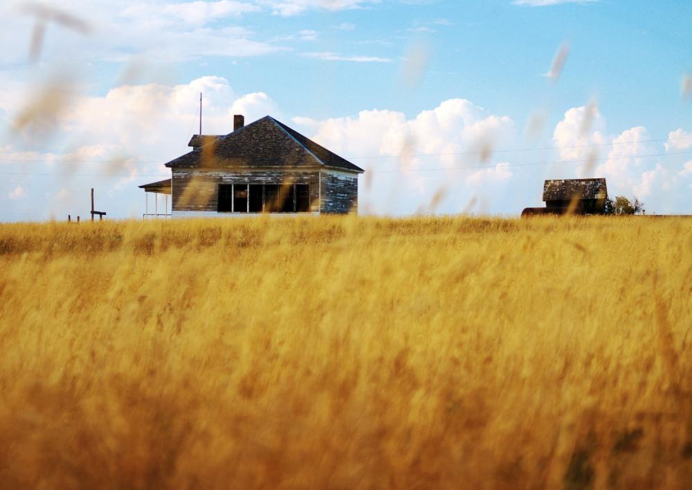 vast prairie with a small, old wooden house in the background